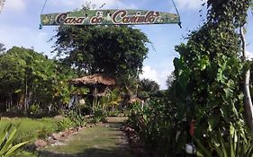 Ecopousada Casa Do Carimbo Fortalezinha Algodoal